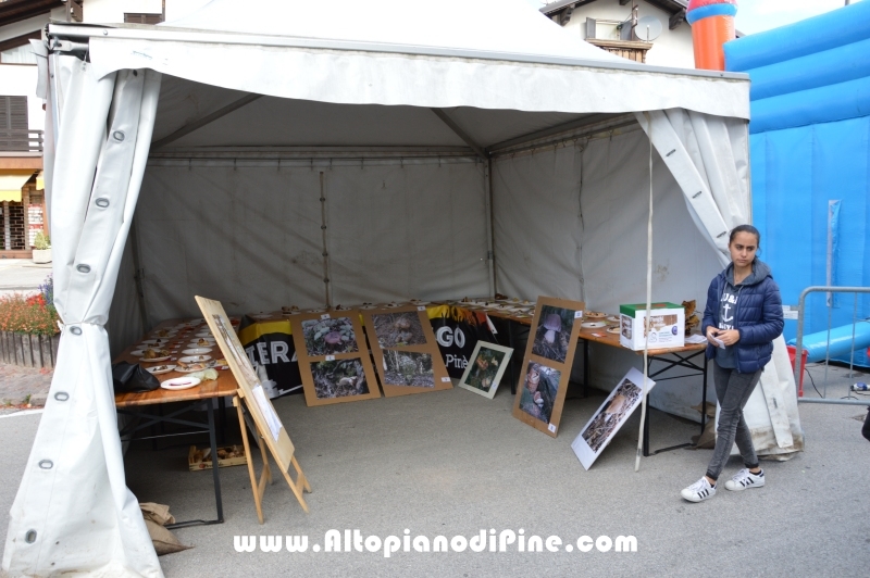 Fiera del fungo 2017