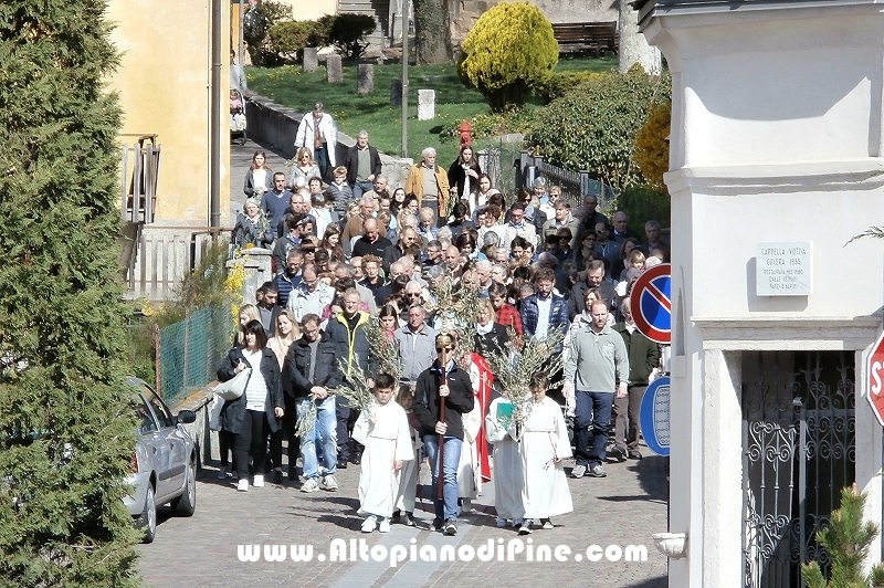 Domenica delle Palme 2017