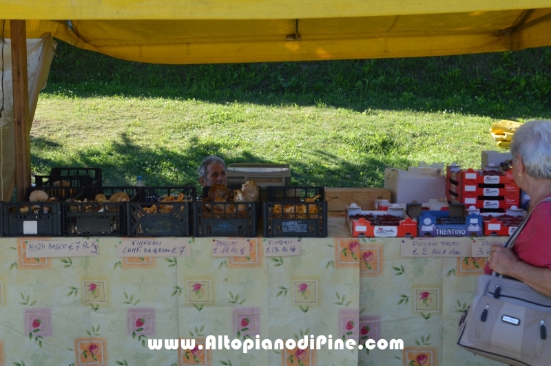 Dragon Festival 2017 - Baselga di Pine'