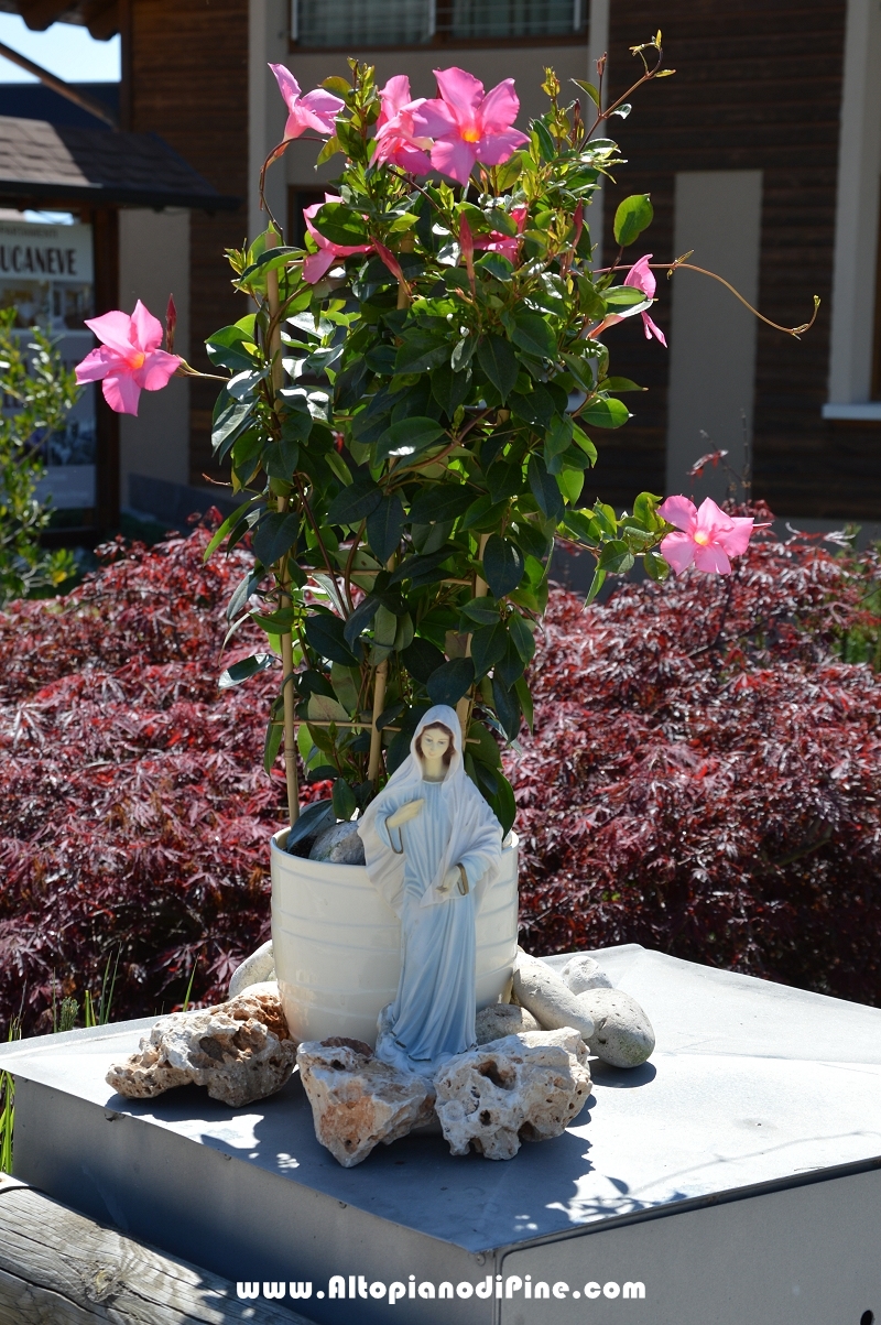 Festa patronale Madonna di Piné  2017
