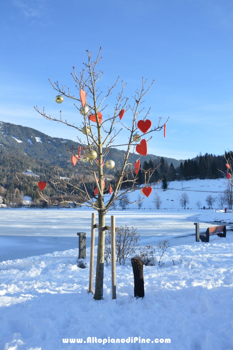 Lago della Serraia - 30 dicembre 2017