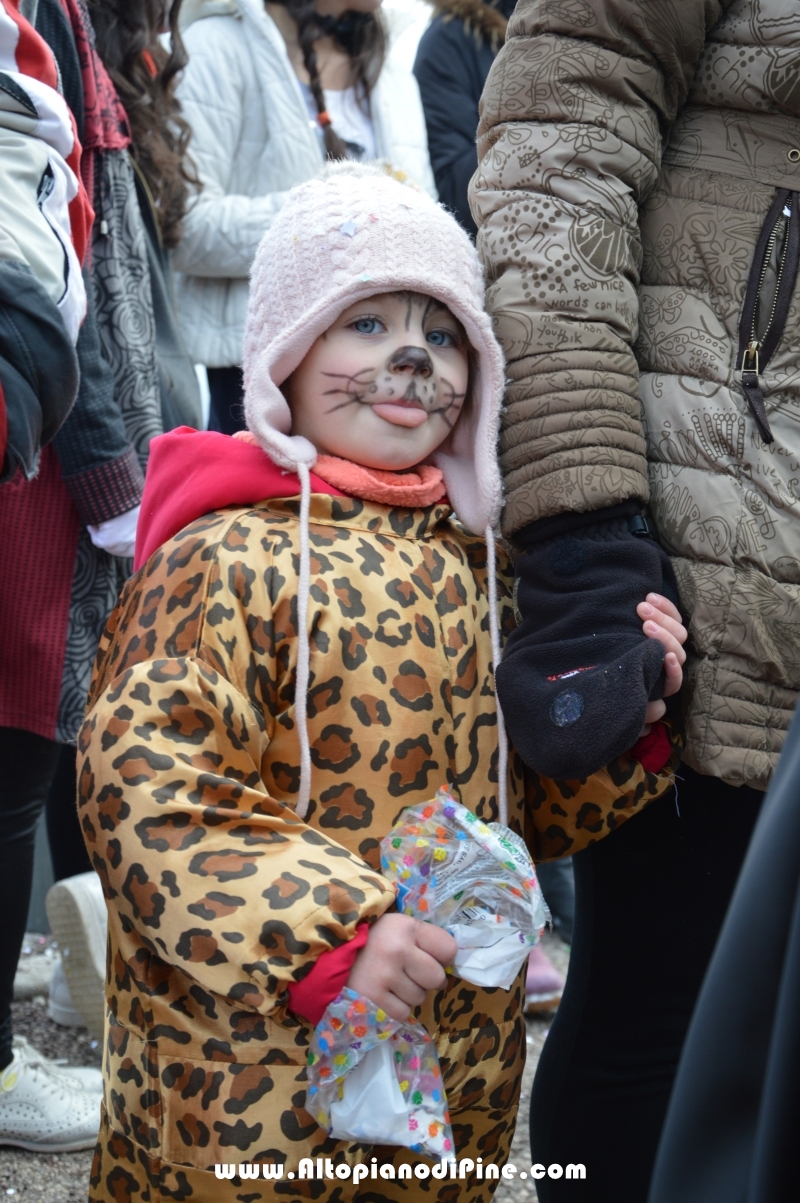 Pineé - Carnevale 2018 