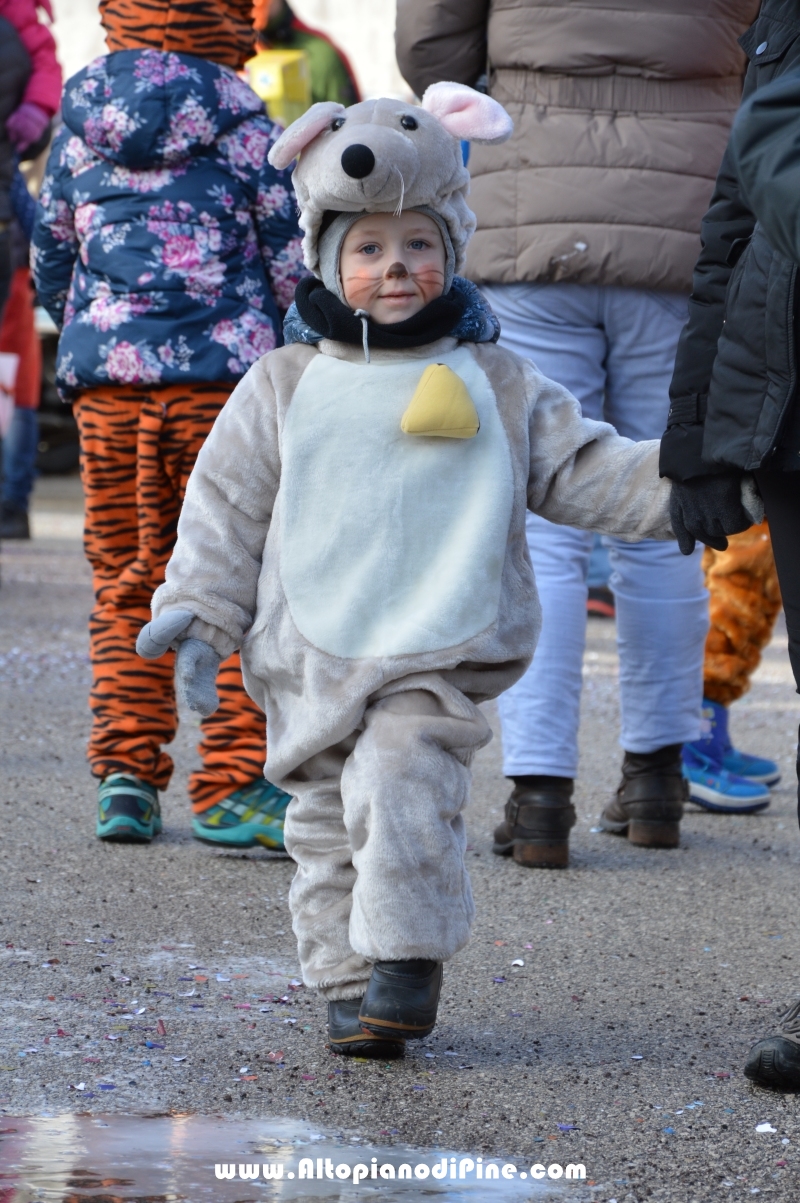 Pineé - Carnevale 2018 