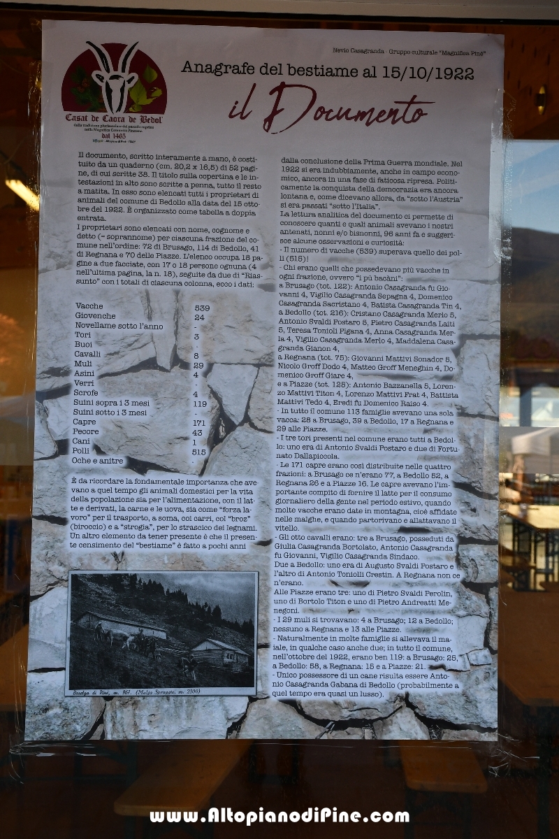 12°  mostra provinciale Capra Pezzata Mochena - Centrale di Bedollo 2018