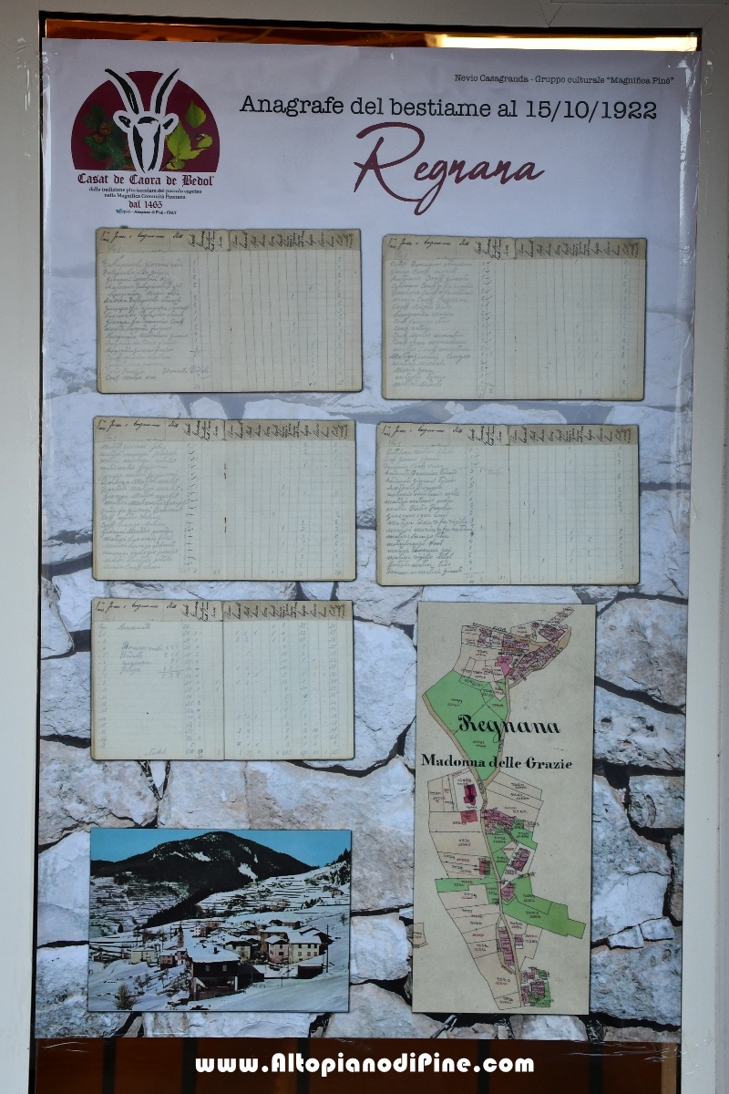 12°  mostra provinciale Capra Pezzata Mochena - Centrale di Bedollo 2018