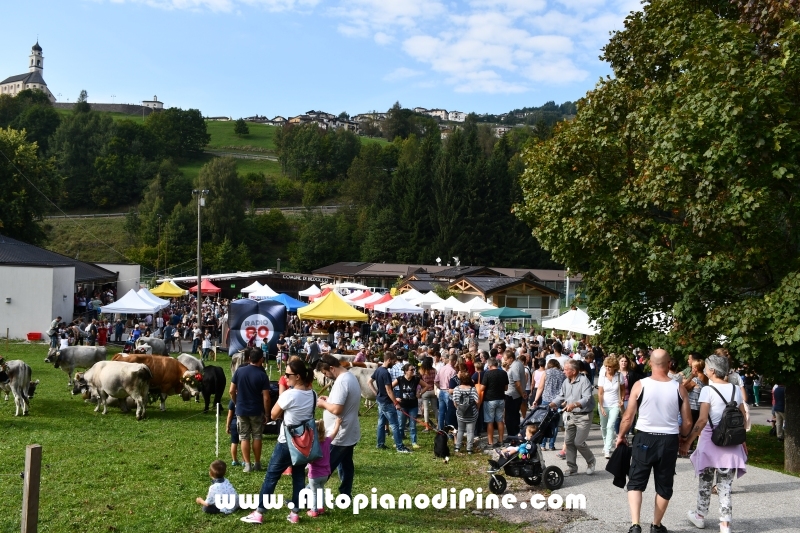 Desmalgada 2018 - Centrale di Bedollo