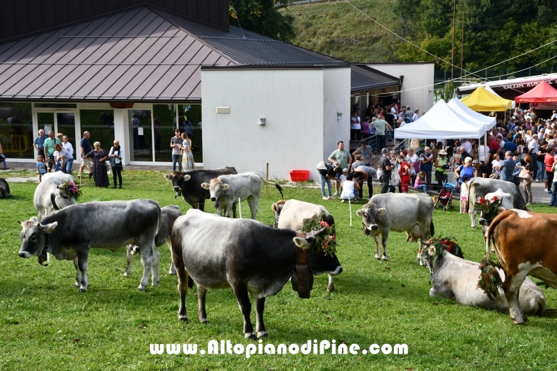 Desmalgada 2018 - Centrale di Bedollo