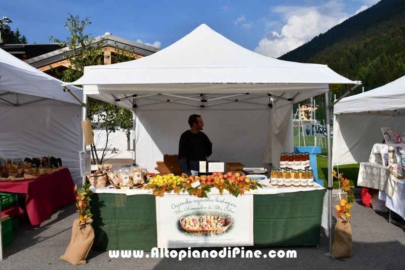 Desmalgada 2018 - Centrale di Bedollo