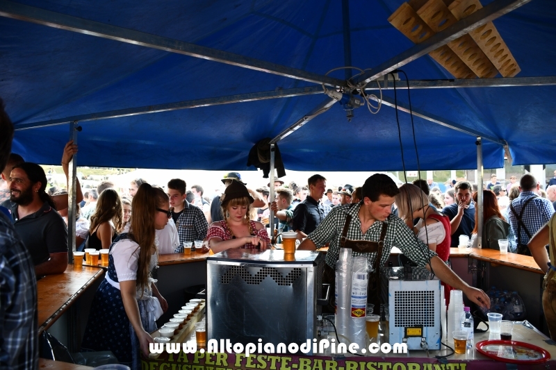 Desmalgada 2018 - Centrale di Bedollo