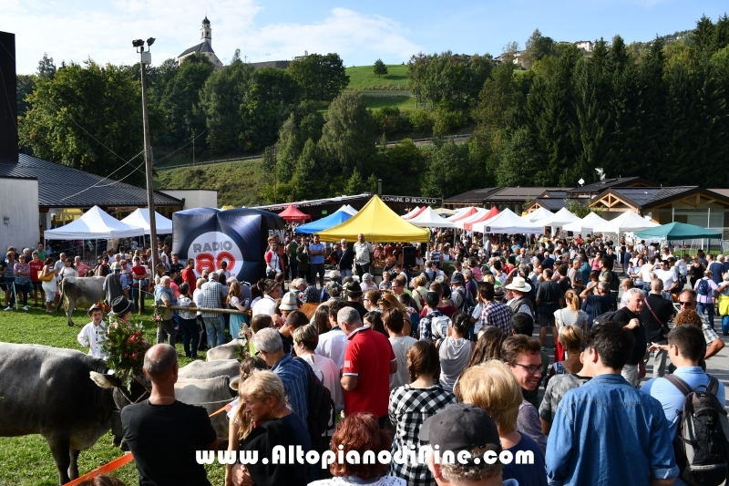 Desmalgada 2018 - Centrale di Bedollo
