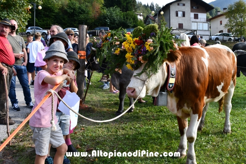 Desmalgada 2018 - Centrale di Bedollo