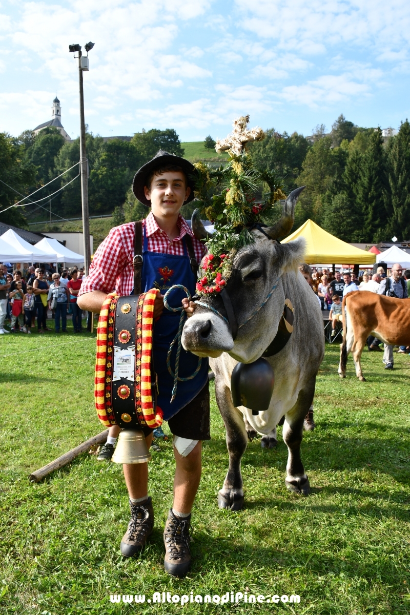 Desmalgada 2018 - Centrale di Bedollo
