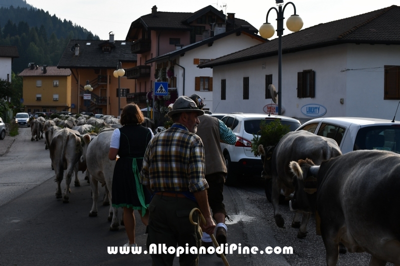 Desmalgada 2018 - Centrale di Bedollo