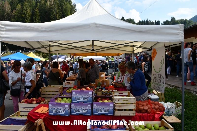 Desmalgada 2018 - Centrale di Bedollo