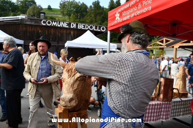 Desmalgada 2018 - Centrale di Bedollo