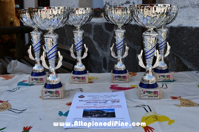 43 Concorso di Pittura  Silvana Groff - Bedollo luglio 2018