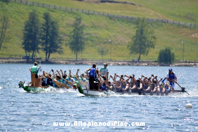 Dragon Festival 2018 - Baselga di Pine'