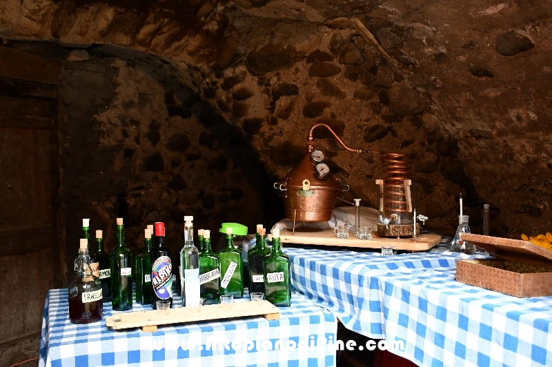 Antichi Mestieri ai Fregoloti - Montagnaga Baselga di Piné  2018