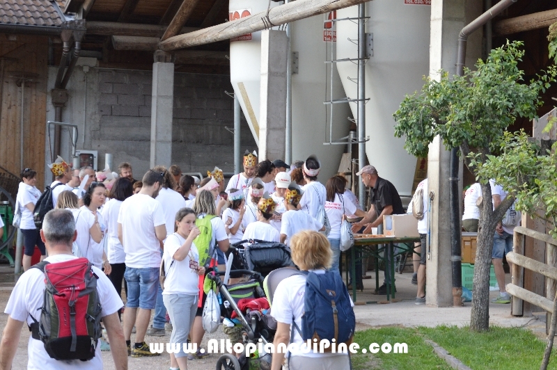 Starlight Run Piné 2018 - Baselga di Pine'