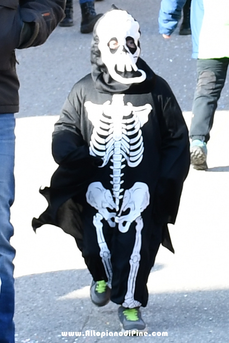 Pineé - Carnevale 2019 