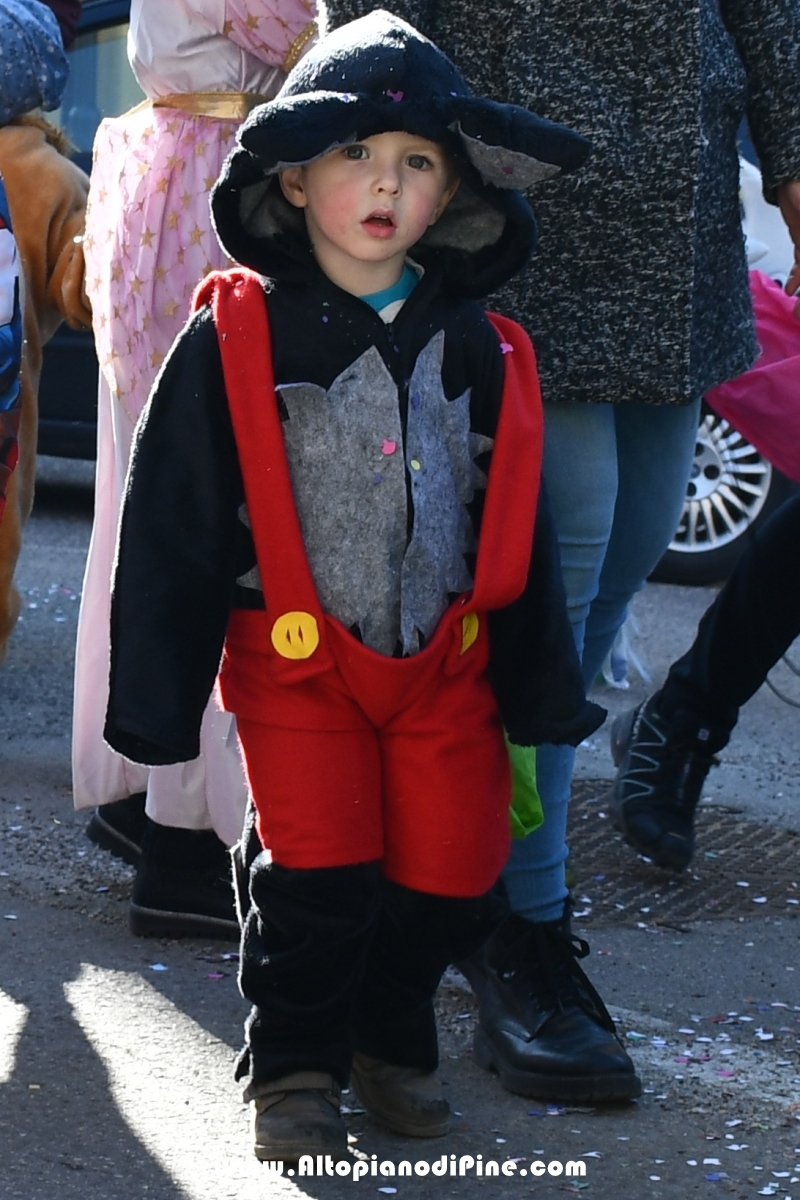 Pineé - Carnevale 2019 