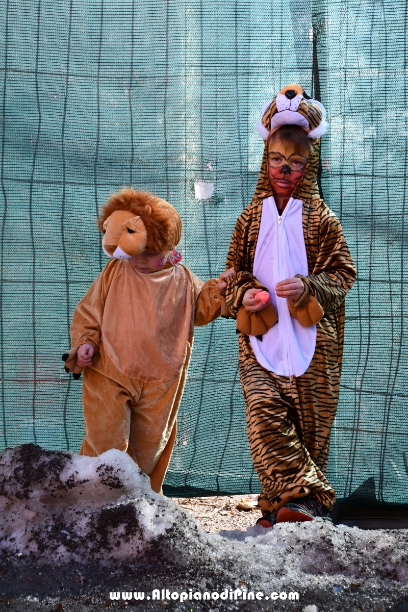 Pineé - Carnevale 2019 