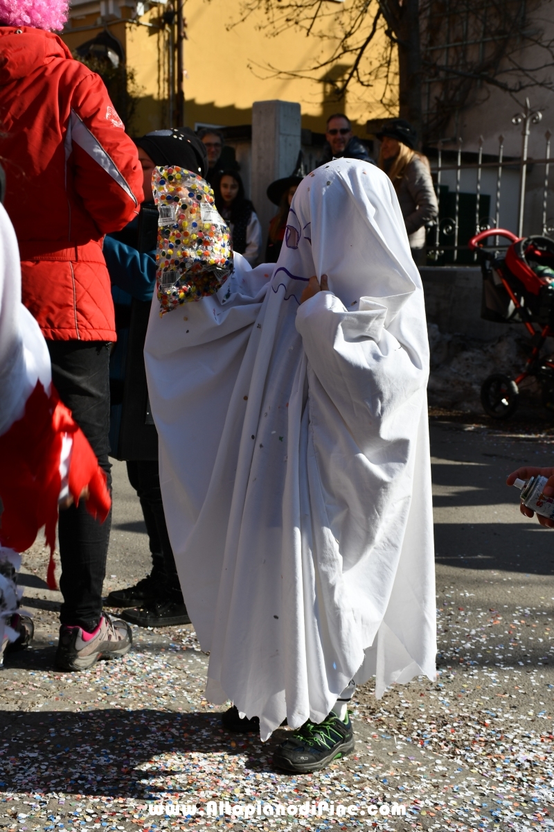 Pineé - Carnevale 2019 