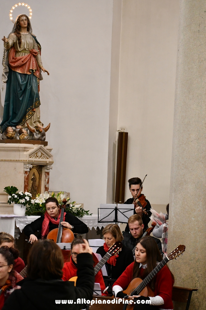 Momenti del concerto