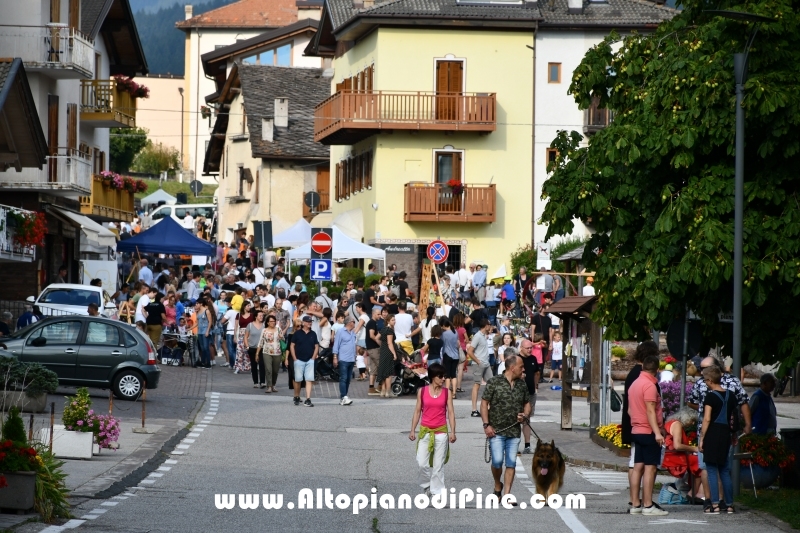 Fai la tua parte 2019 - Baselga di Pine'