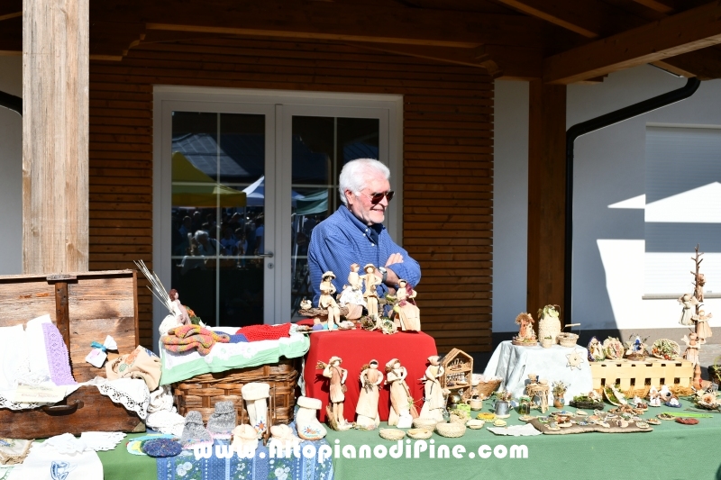 Desmalgada 2019 - Centrale di Bedollo