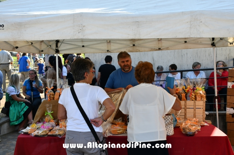 Desmalgada 2019 - Centrale di Bedollo
