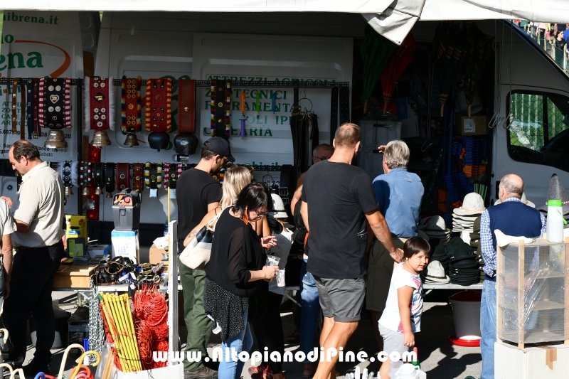 Desmalgada 2019 - Centrale di Bedollo