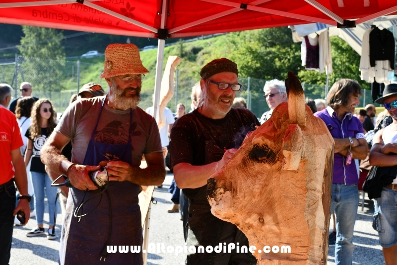 Desmalgada 2019 - Centrale di Bedollo