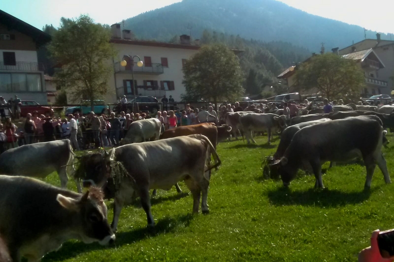 Desmalgada 2019 - Centrale di Bedollo