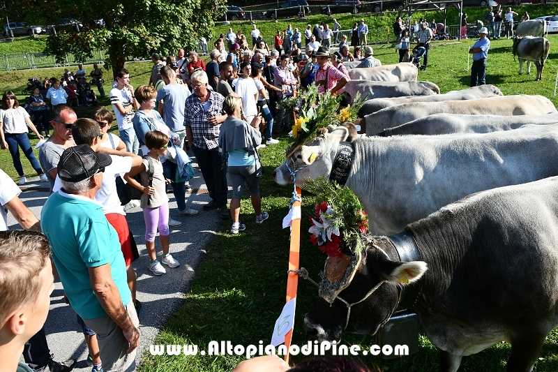 Desmalgada 2019 - Centrale di Bedollo