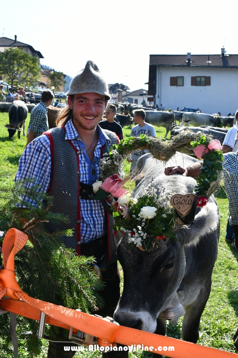 Desmalgada 2019 - Centrale di Bedollo