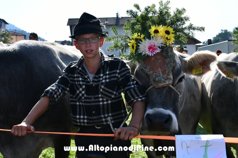Desmalgada 2019 - Centrale di Bedollo
