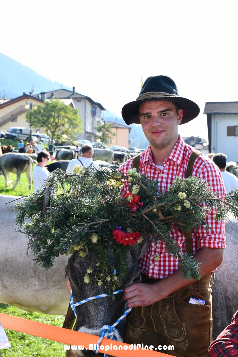 Desmalgada 2019 - Centrale di Bedollo