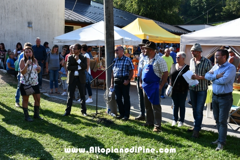 Desmalgada 2019 - Centrale di Bedollo