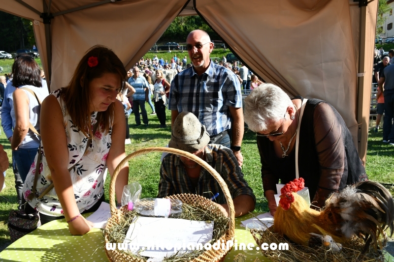 Desmalgada 2019 - Centrale di Bedollo