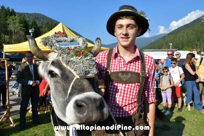 Desmalgada 2019 - Centrale di Bedollo