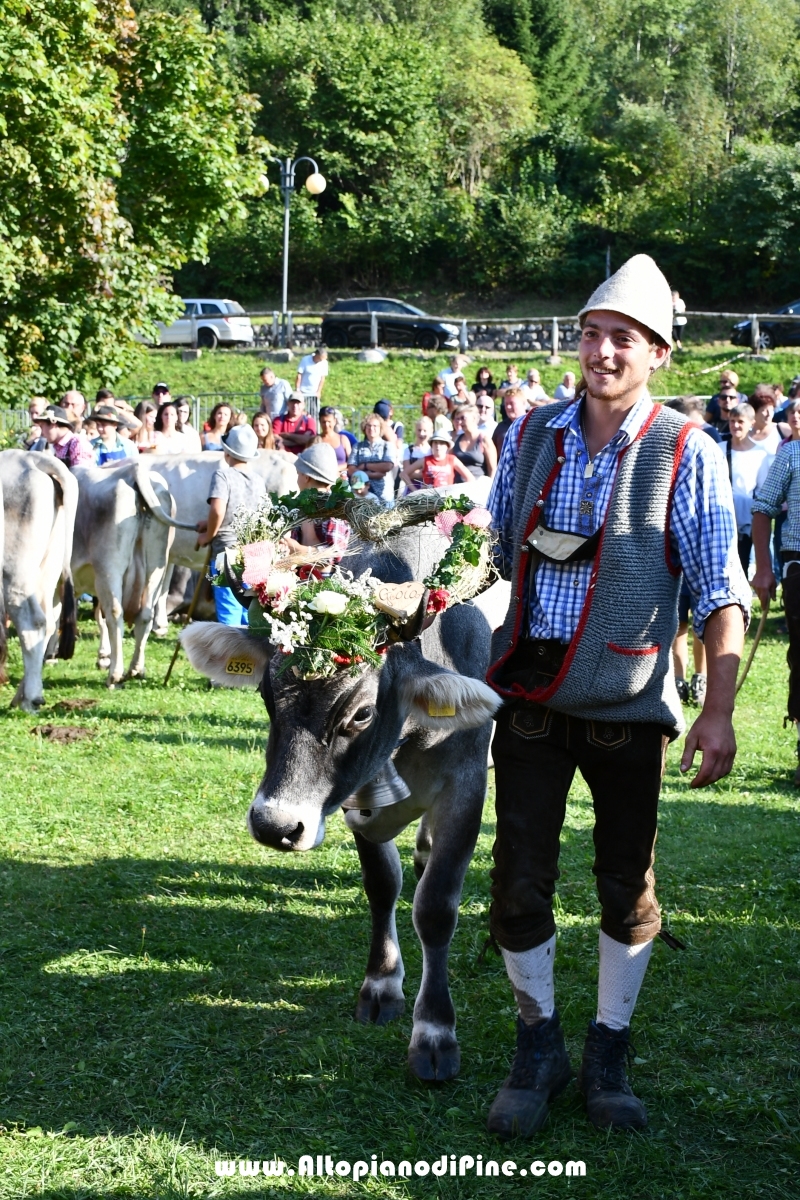 Desmalgada 2019 - Centrale di Bedollo