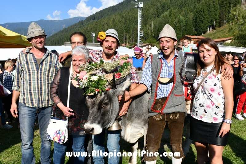 Desmalgada 2019 - Centrale di Bedollo