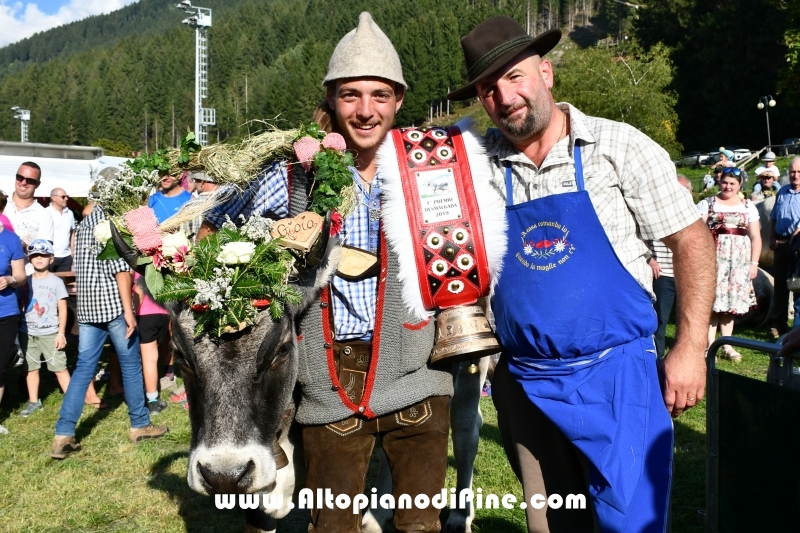 Desmalgada 2019 - Centrale di Bedollo