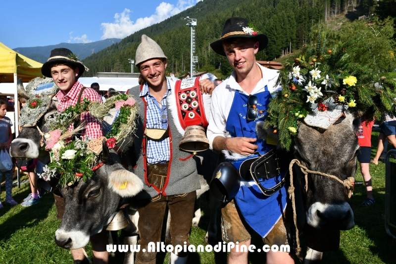 Desmalgada 2019 - Centrale di Bedollo
