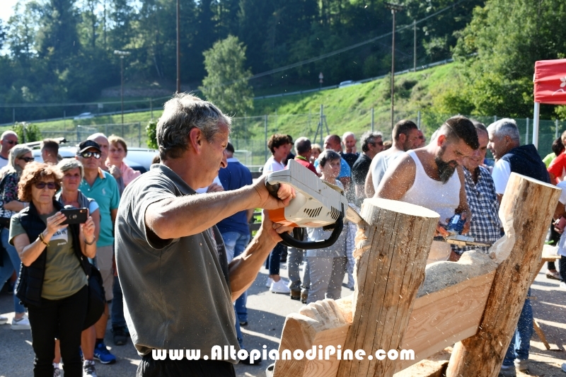 Desmalgada 2019 - Centrale di Bedollo