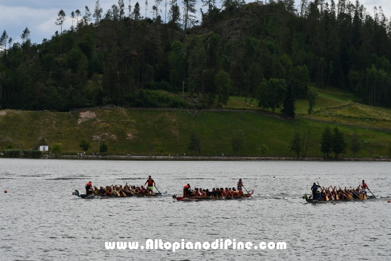 Dragon Festival 2019 - Baselga di Pine'