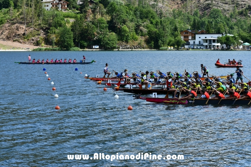 Dragon Festival 2019 - Baselga di Pine'