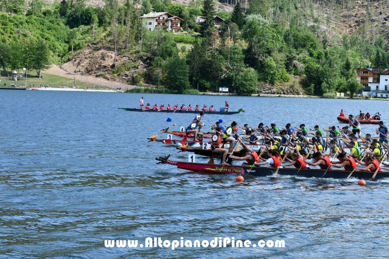 Dragon Festival 2019 - Baselga di Pine'