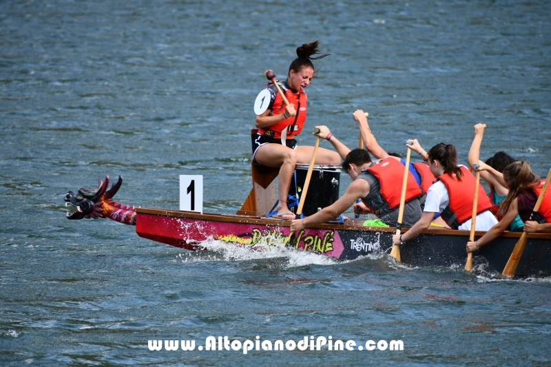 Dragon Festival 2019 - Baselga di Pine'